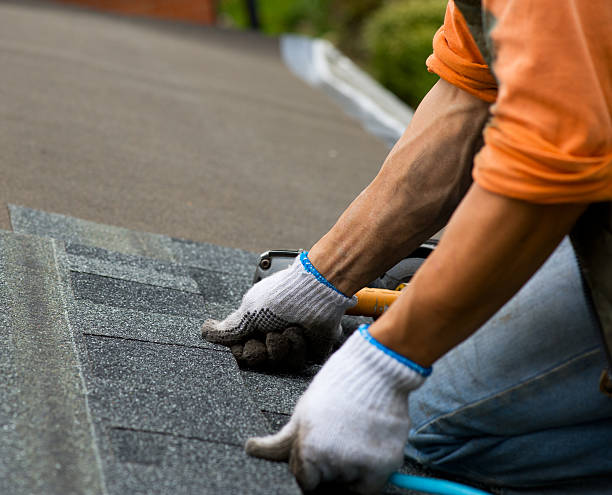 Roof Gutter Cleaning in Melcher Dallas, IA