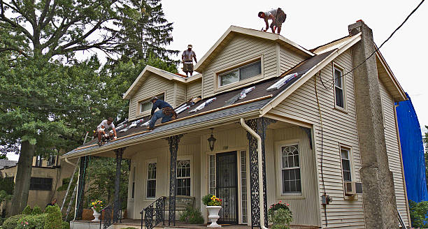 Best Roof Gutter Cleaning  in Melcher Dallas, IA